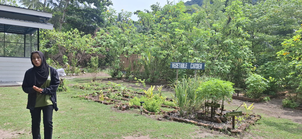 Tengah Island Conservation